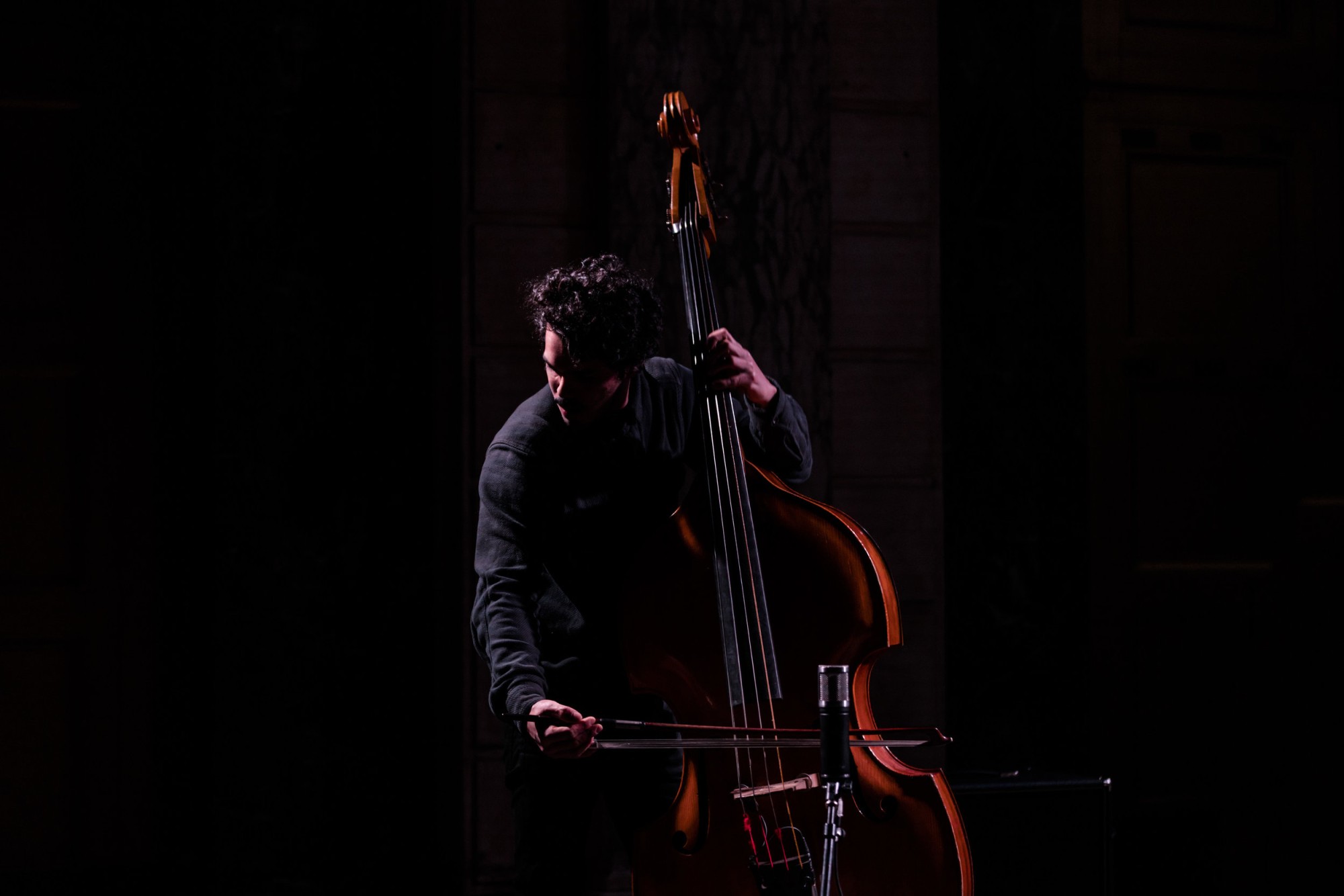 Brandon Lopez is playing the upright bass, obscured mostly in shadows, in front of a black background