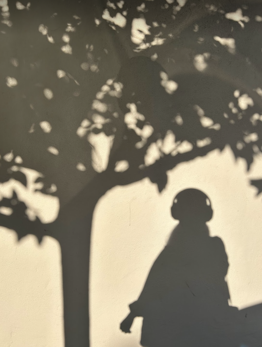 A golden-hour silhouette of the author wearing over-ear headphones, standing under a tree whose leaves are also casting shadows alongside that of the author, on a wall painted light yellow
