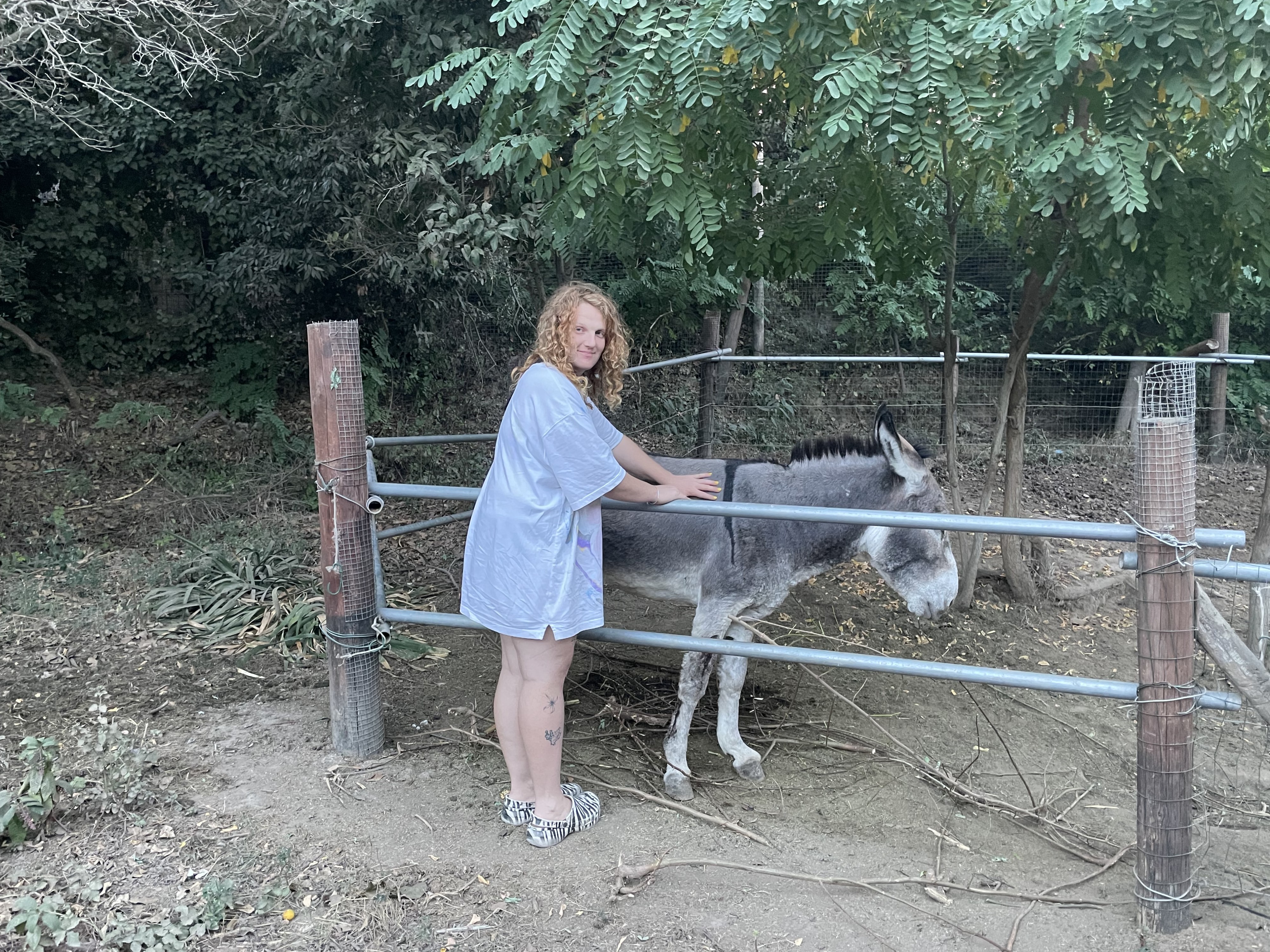 Nora Treatbaby is shown mid-frame petting a donkey behind a fence. She is wearing a white t-shirt dress and zebra crocs. Her back is to the camera but she is turning around to face the camera and is smiling.
