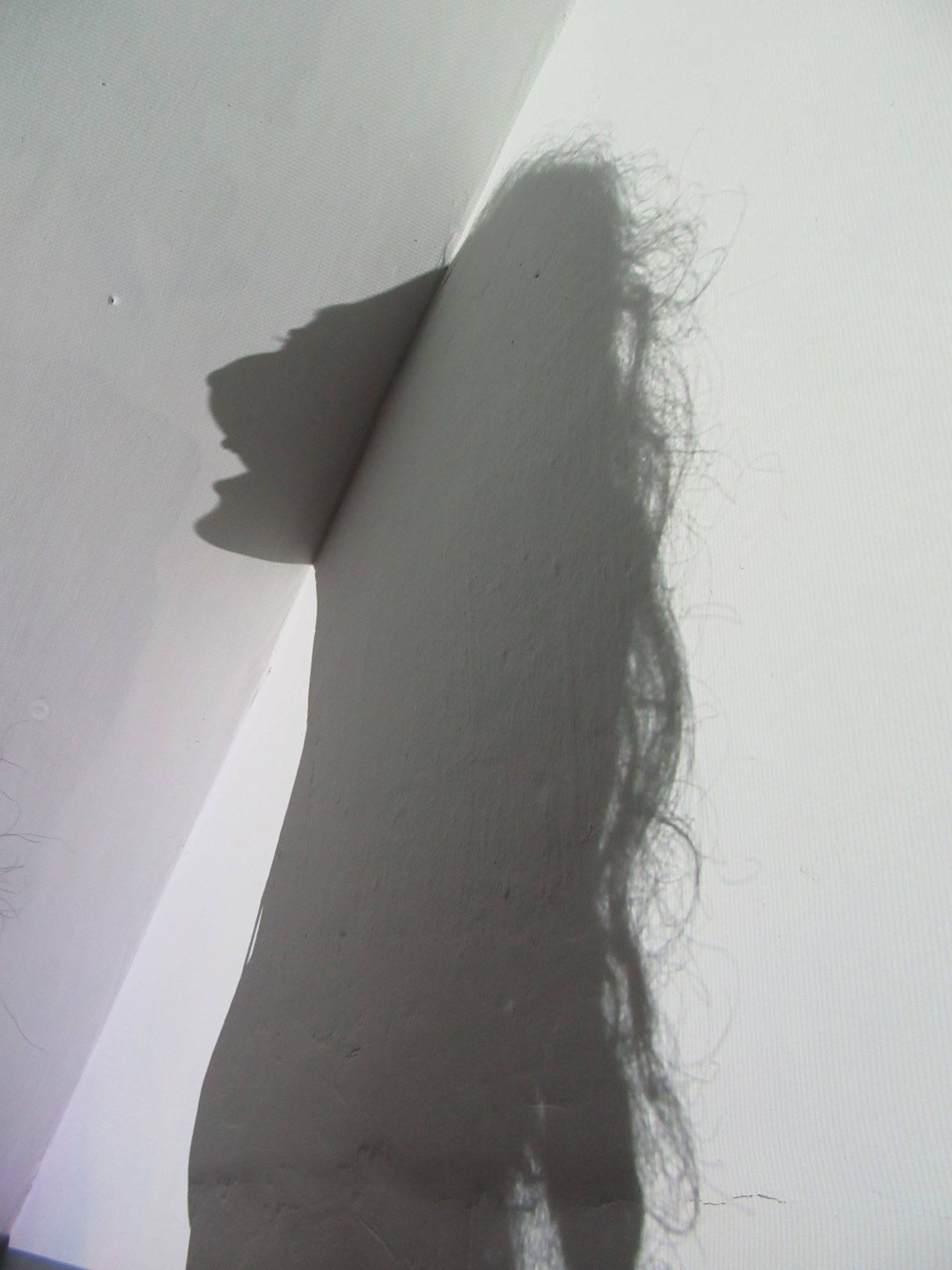 Photograph of the shadow cast by a head against a corner.
