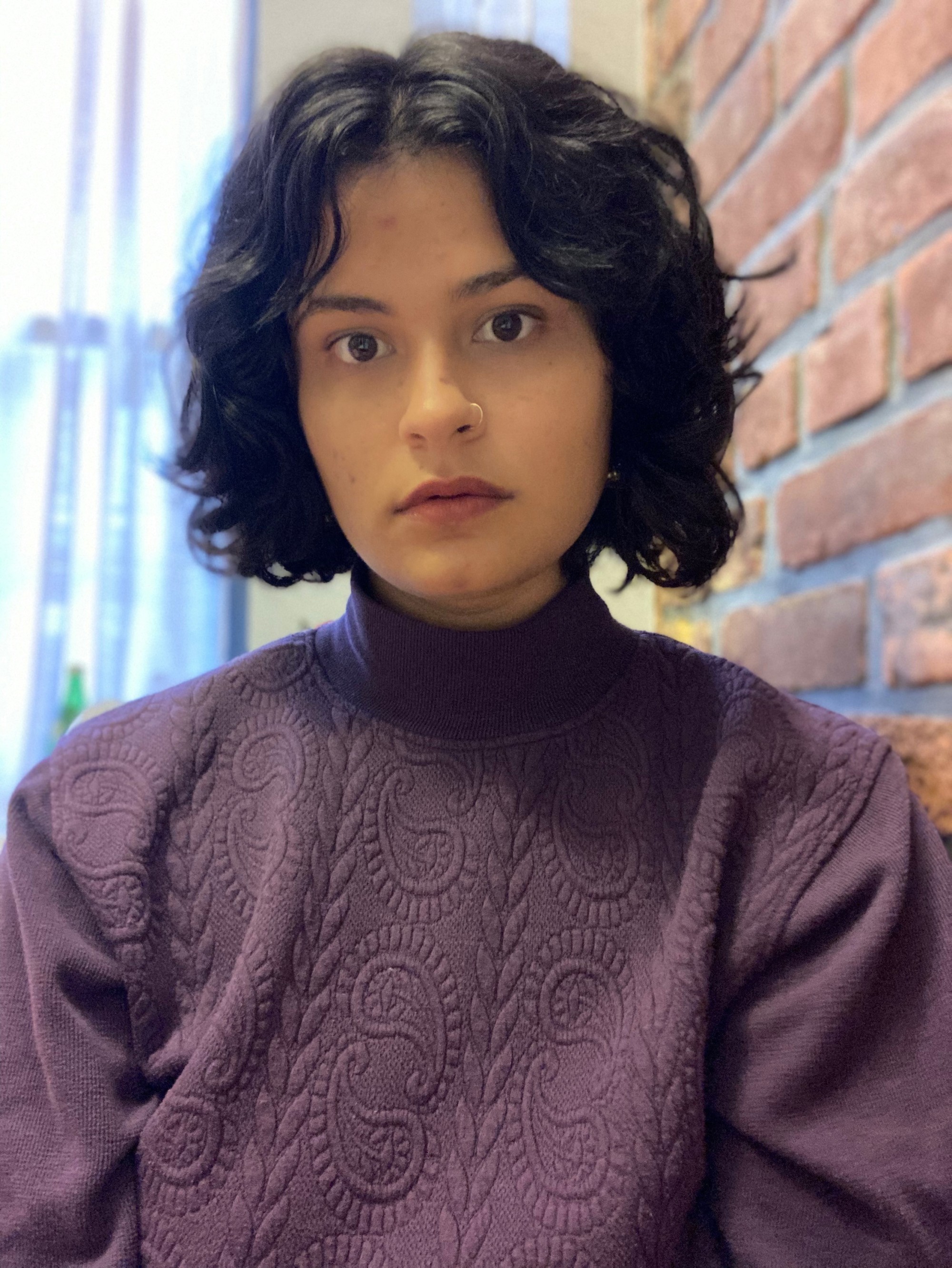 Serena Devi sits in front of a window next to a brick wall wearing a purple turtleneck with paisley texturing