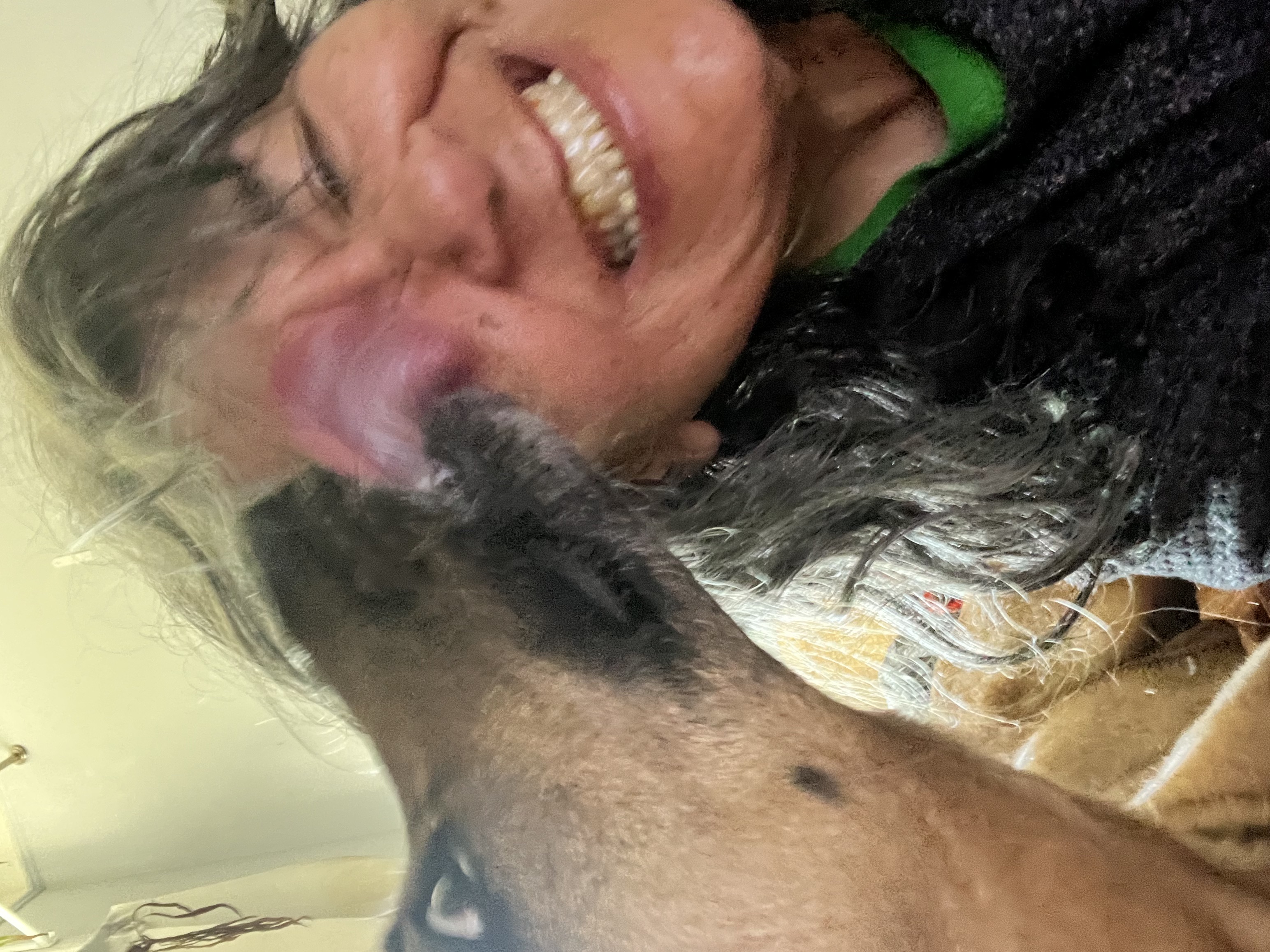 Junebug the dog kisses Vex the person