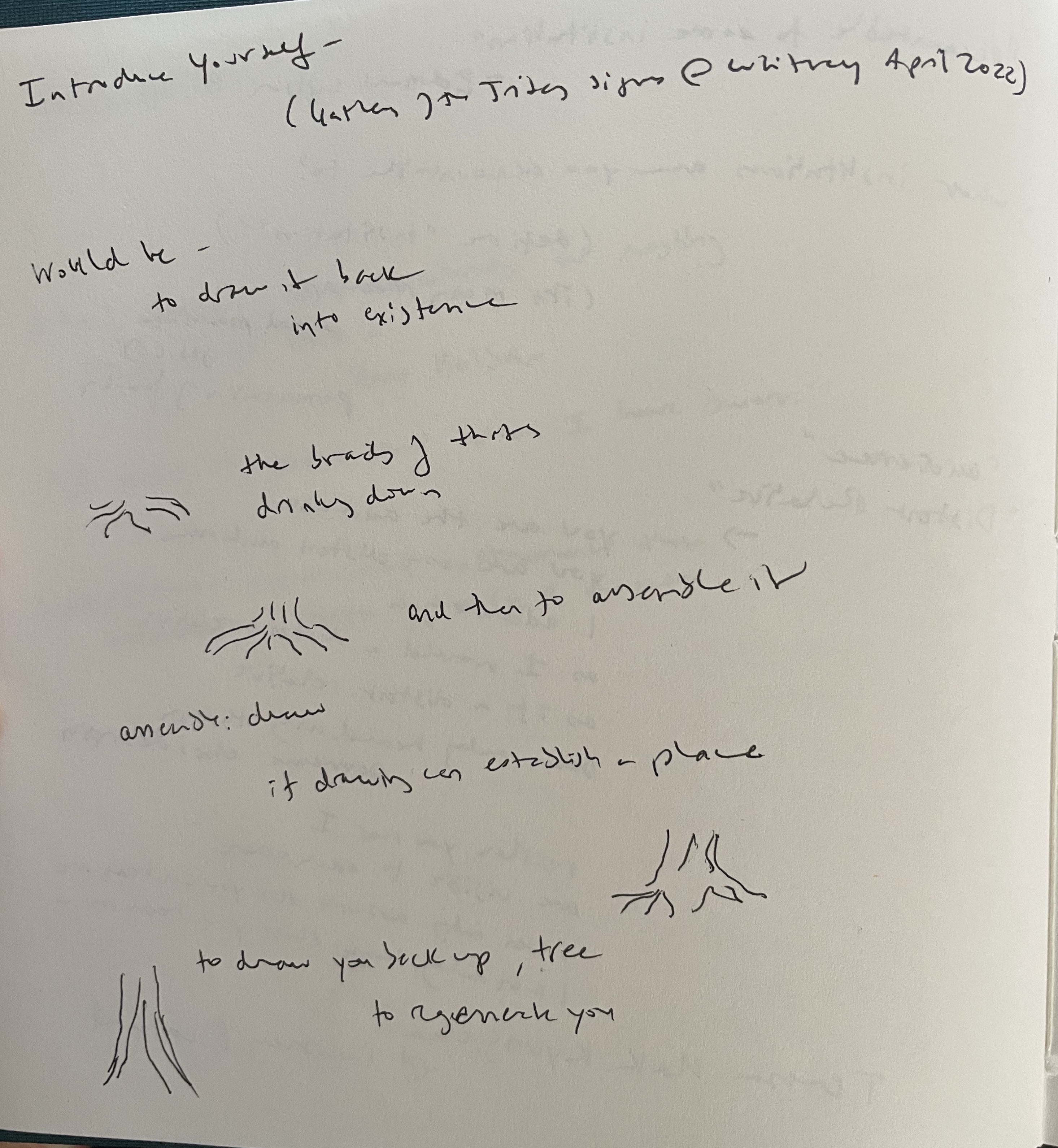 A notebook page with four sketches of the base of tree trunks, each getting gradually taller. Around the drawings are notes, at times indecipherable, reading – 
Would be - 
to draw it back 
into existence

the braids of roots
drinking down

and then to assemble it

assemble : draw
if drawing can establish a place

to draw you back up, tree
to regenerate you