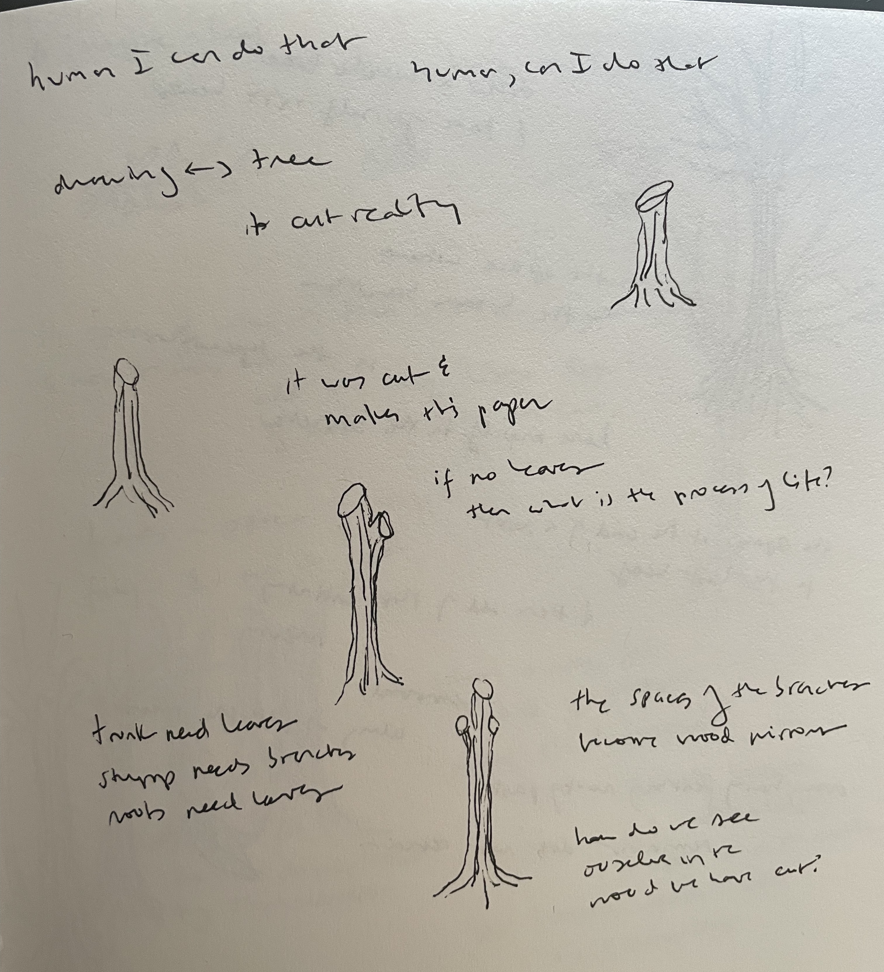A notebook page with four sketches of tree trunks, each getting gradually taller. Around the drawings are notes which read – 
human I can do that

human, can I do that

drawing any tree
it cut reality

it was cut &amp;
makes this paper

if no leaves
then what is the process of life?

trunk needs leaves
stump needs branches
roots need leaves

the spaces of the branches
become wood mirrors

how do we see
ourselves in the
wood we have cut?