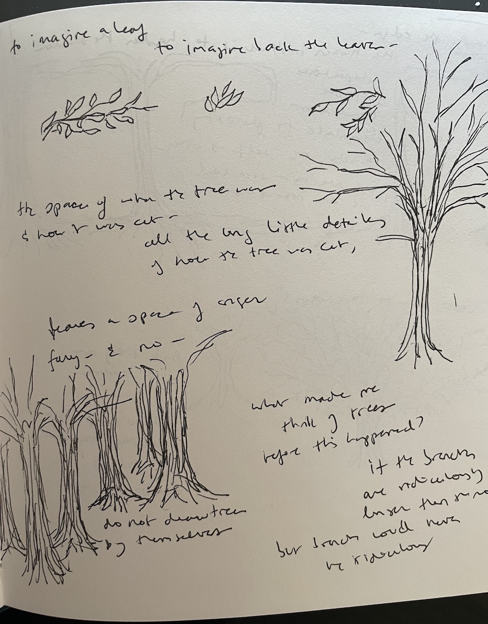 A notebook page with a drawing of a branch, a cluster of leaves, a single tree, and a grove of trees, spread out across the page. Around the drawings are notes, largely indecipherable, reading –
to imagine a leaf

to imagine back the leaves

the space of where the tree was
&amp; how it was cut

all the long little details
of how the tree was cut

leaves a space of anger
fury – &amp; no –

what made me
think of trees
before this happened?

do not draw trees
by themselves

if the branches
are ridiculously
longer than the roots

but branches could never
be ridiculous